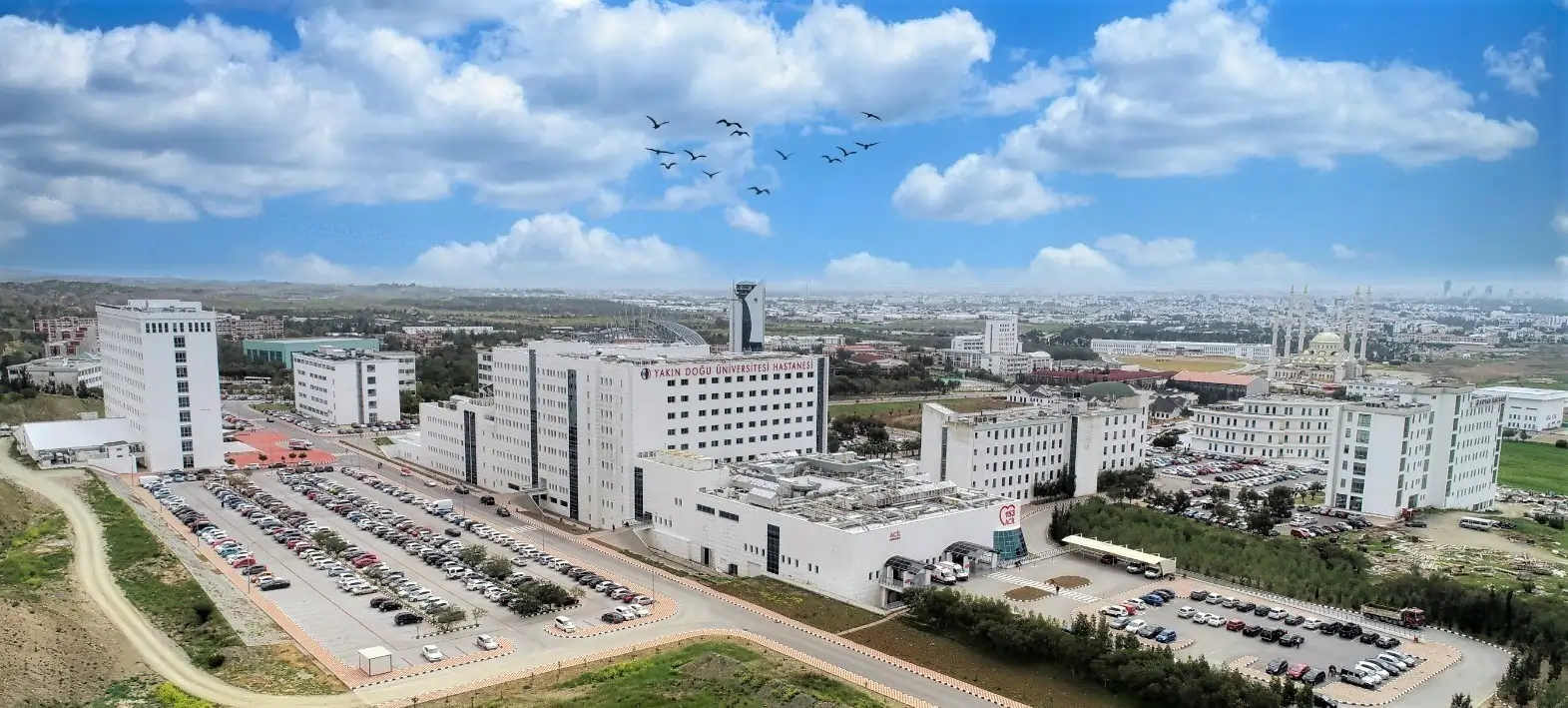 دانشگاه نیر ایست